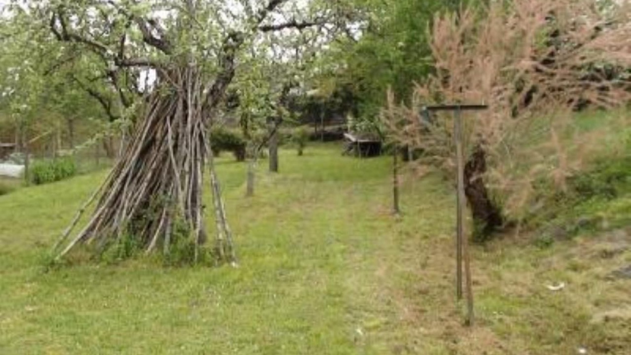 Photo of Outdoor in Lacave