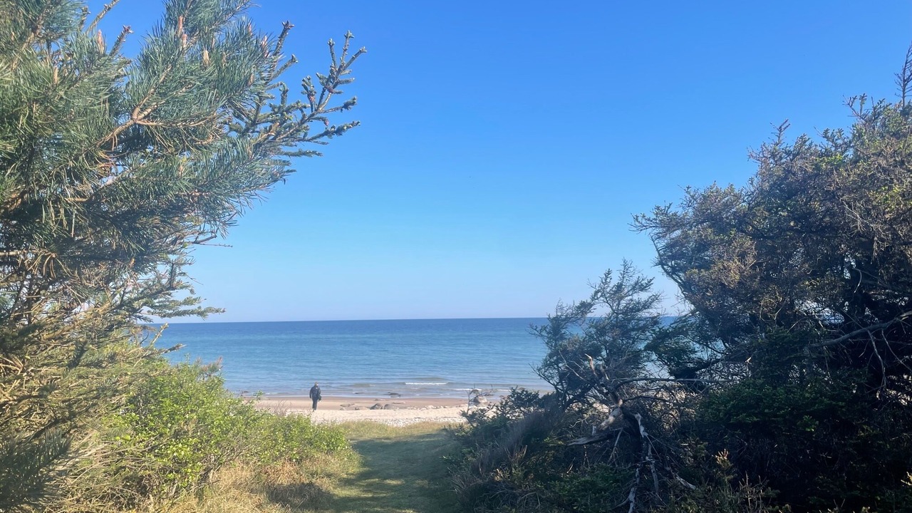 Photo of Others in Smidstrup Strand