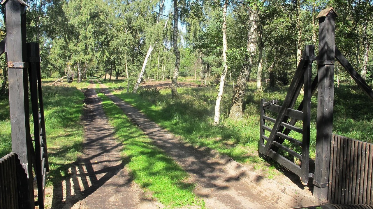 Photo of Others in Smidstrup Strand