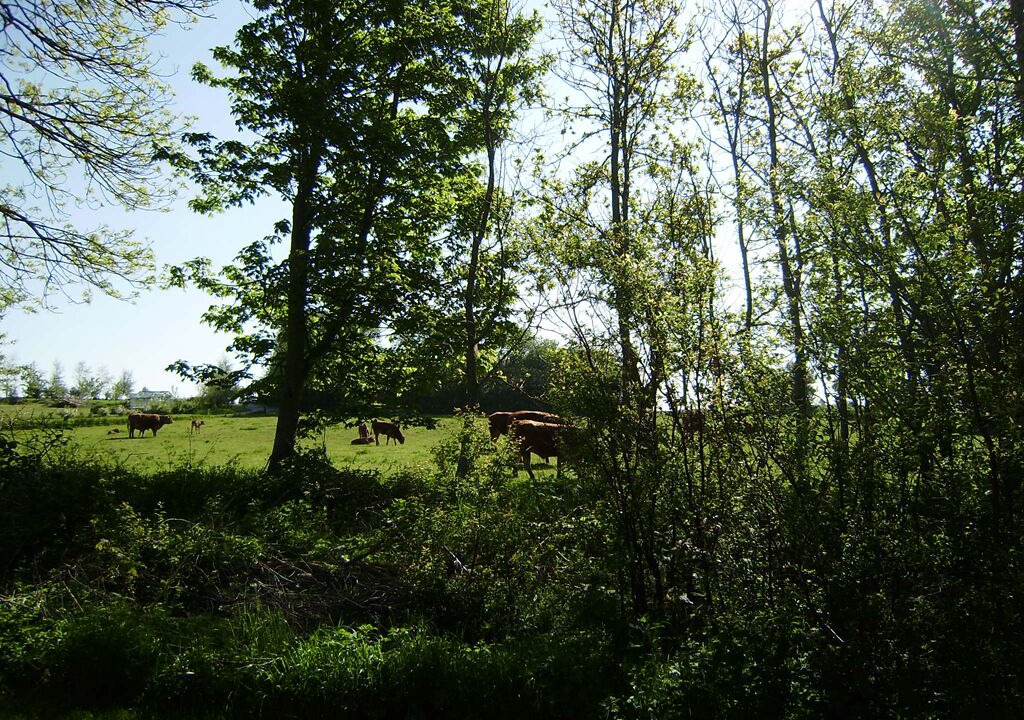 Photo of Outdoor in Nykobing Mors