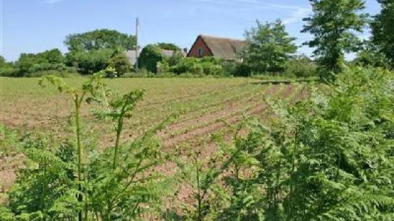 Photo of Others in Plomeur