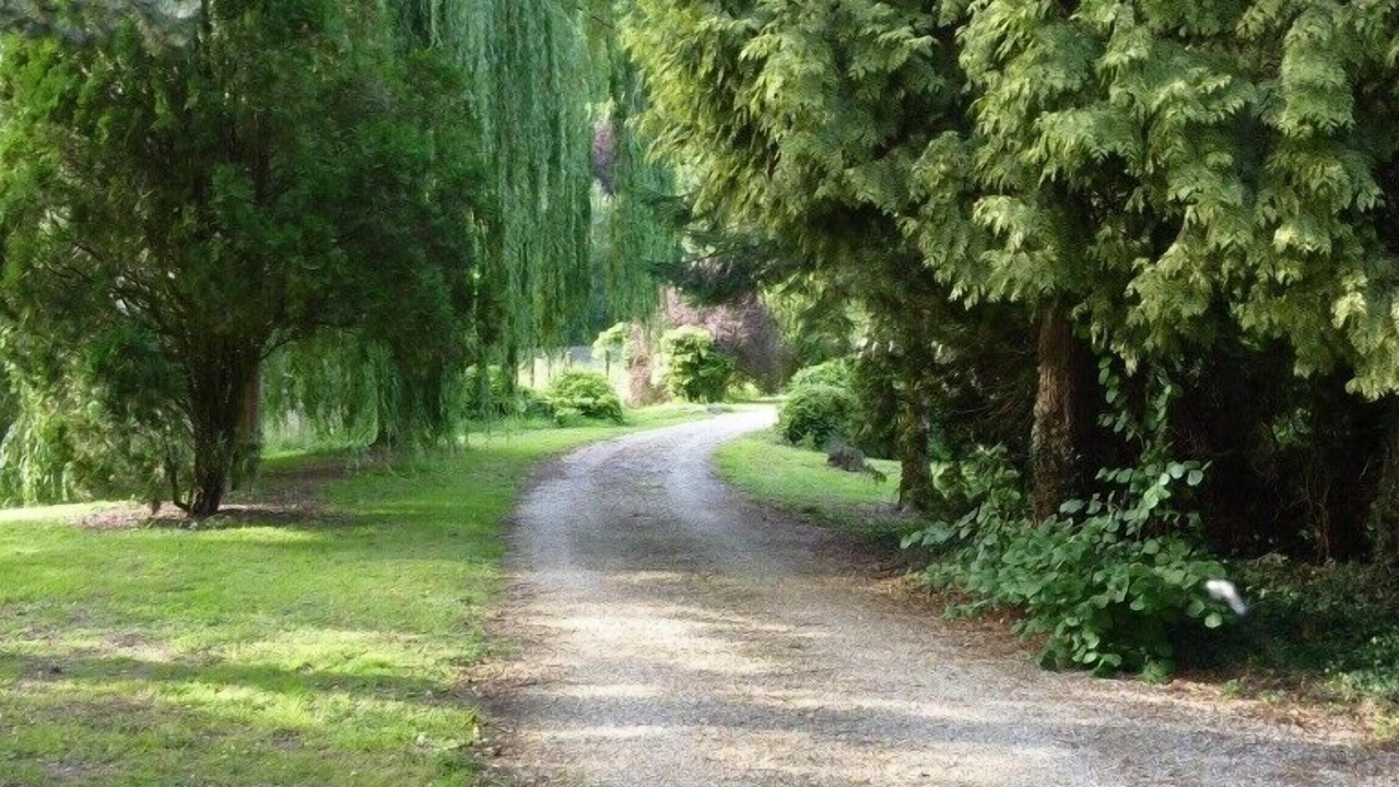 Photo of Outdoor in Bec-de-Mortagne