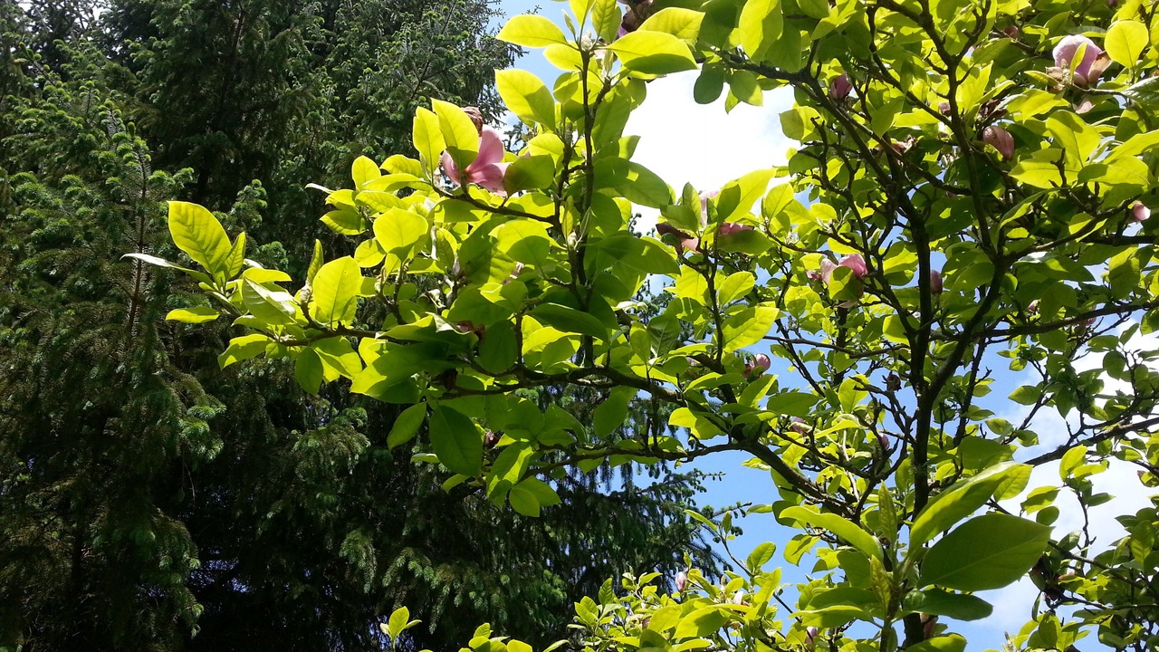 Photo of Outdoor in Bec-de-Mortagne