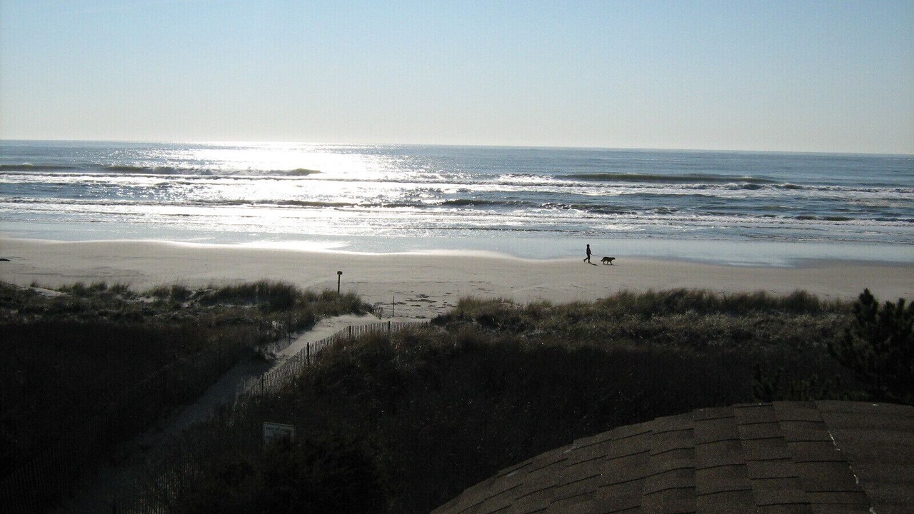 Photo of Others in Sea Isle City
