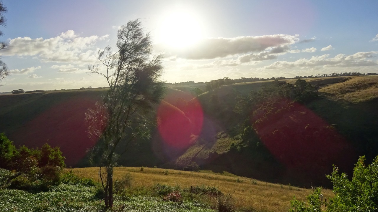 Photo of Patio Balcony in Cobden