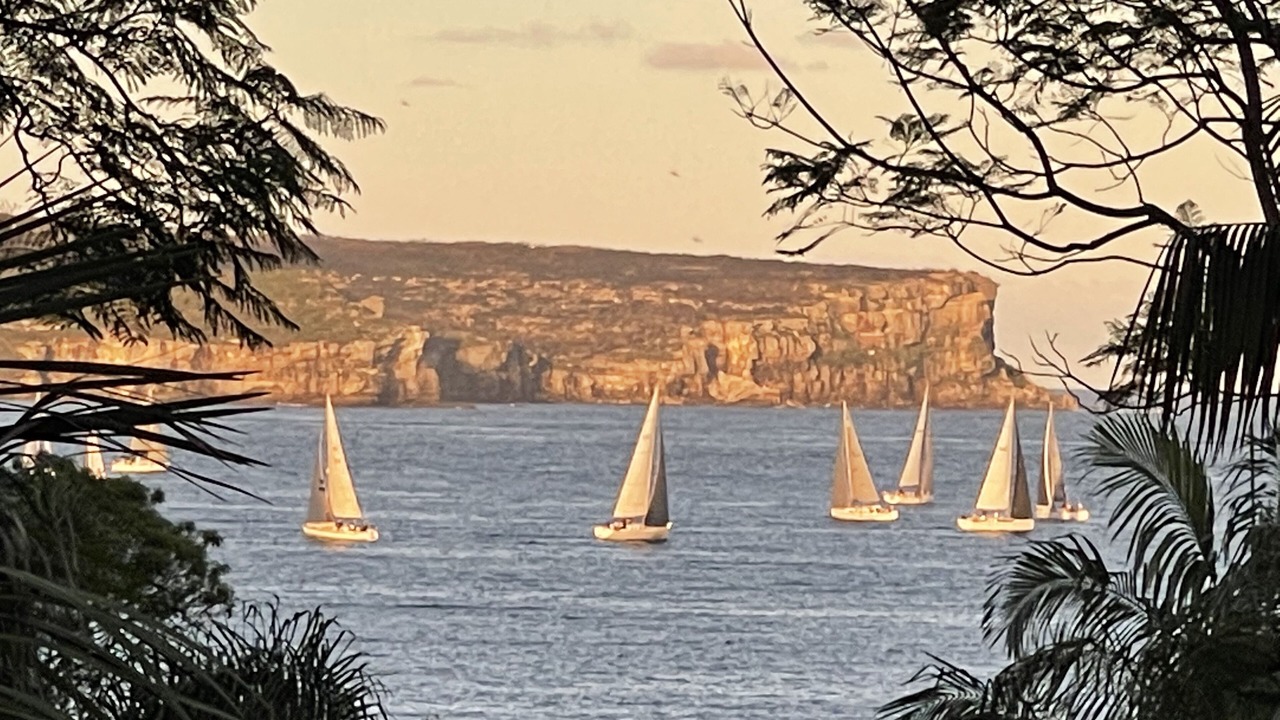 Photo of Others in Mosman