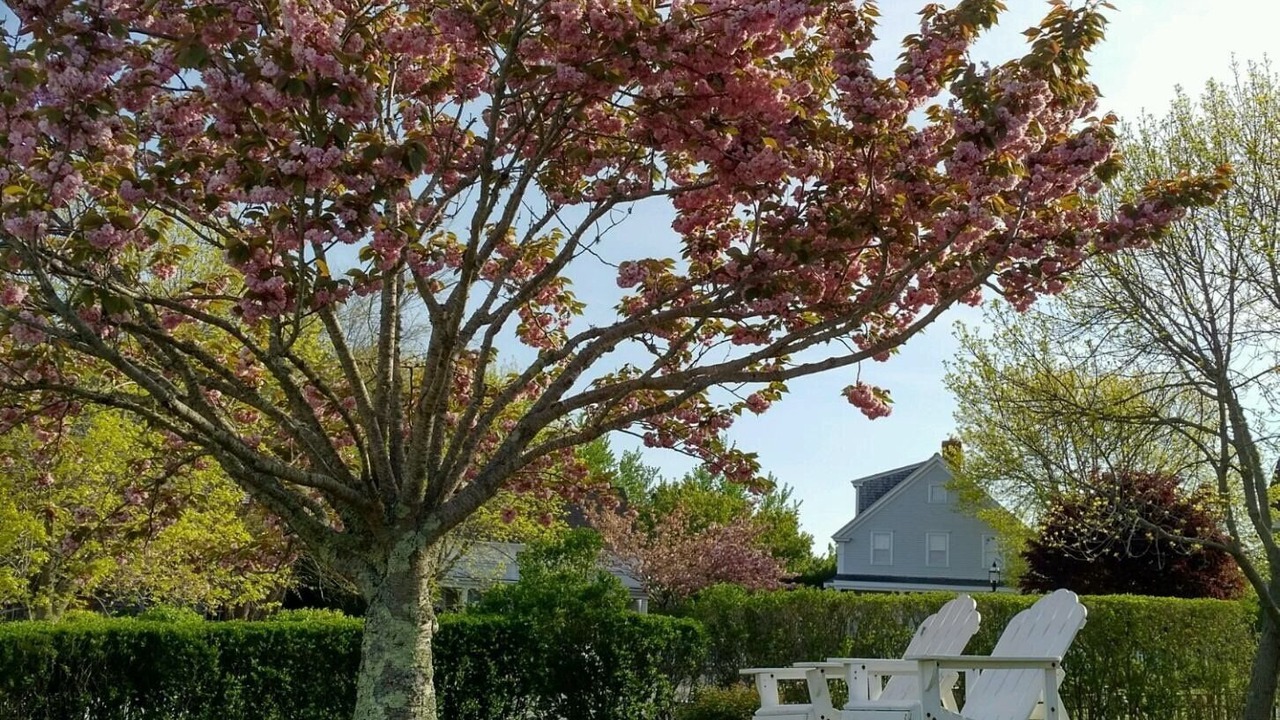 Photo of Others in Naushop