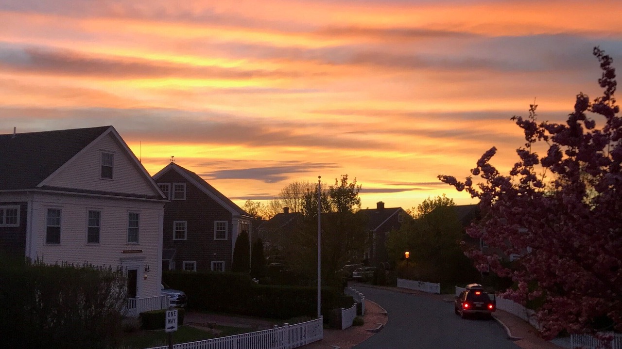 Photo of Others in Naushop