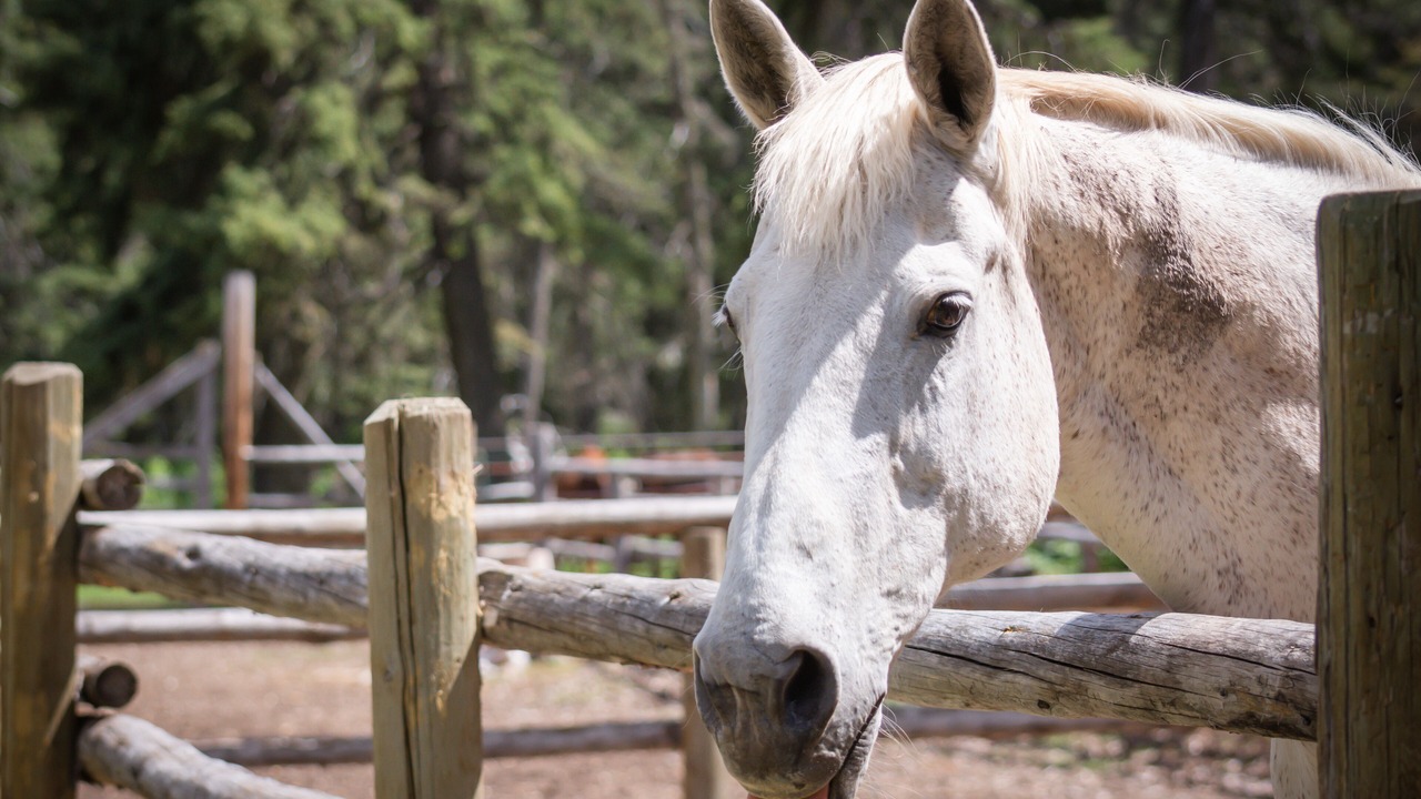 Photo of Others in Wilson
