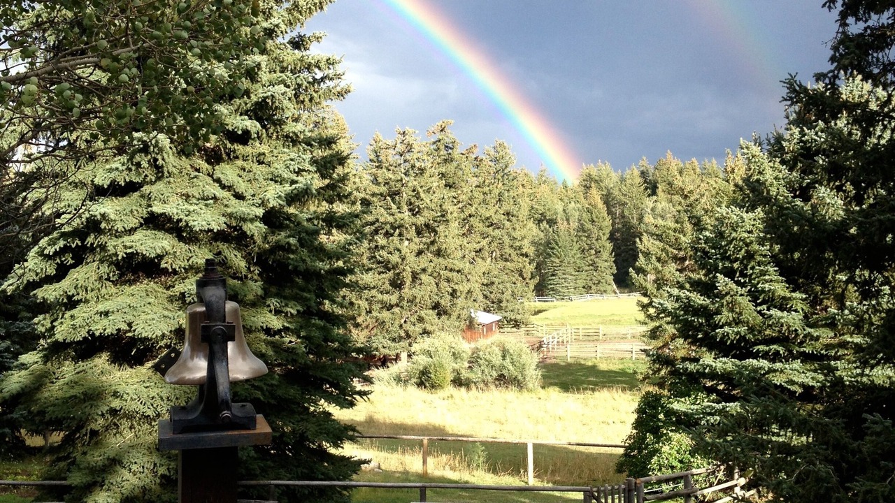 Photo of Others in Wilson