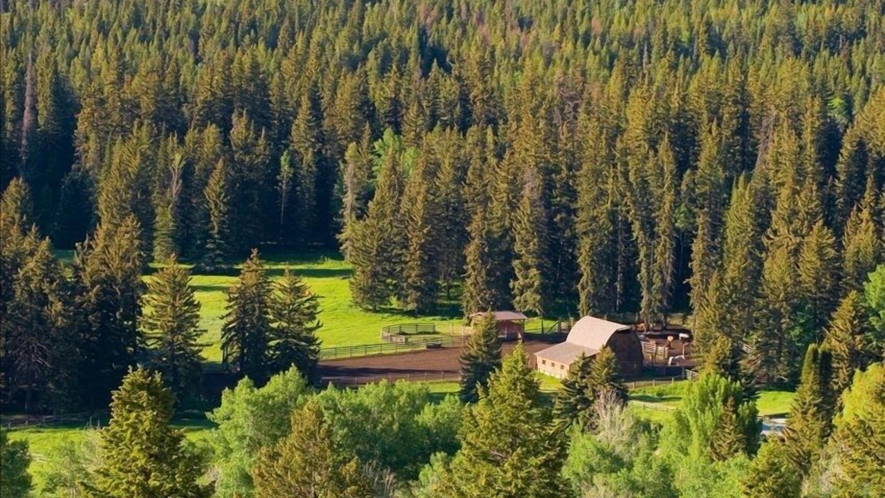 Photo of Others in Wilson