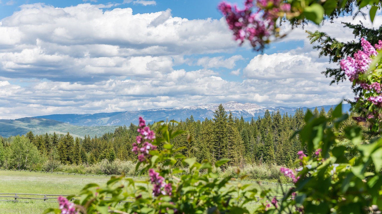 Photo of Others in Wilson