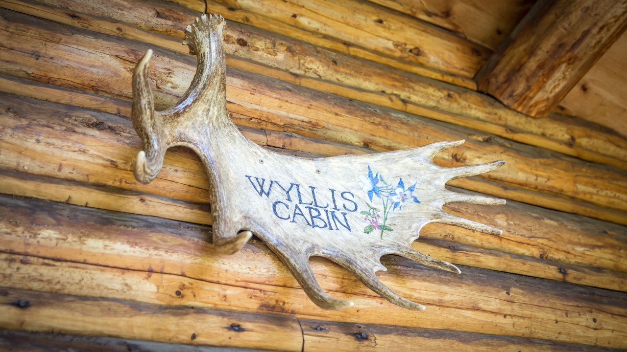 Photo of Others in Wilson