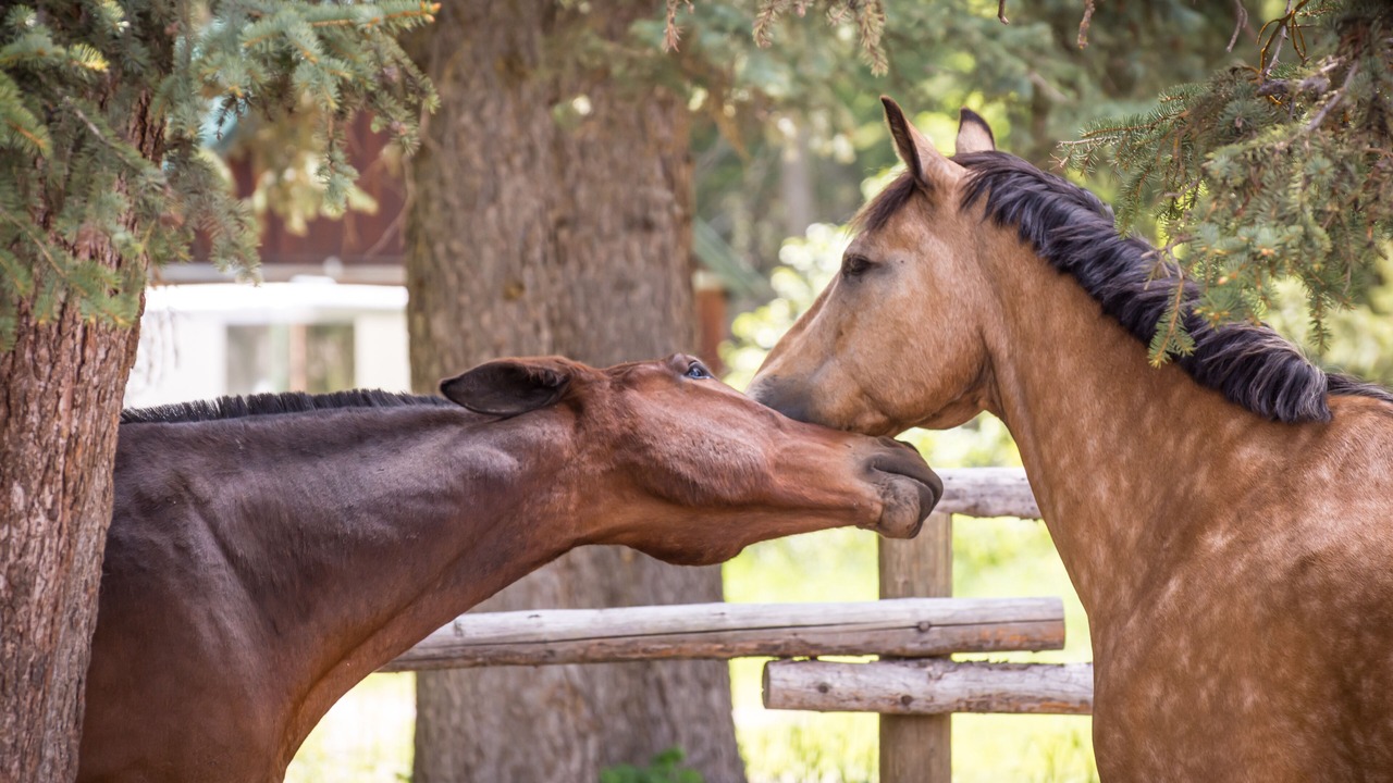 Photo of Others in Wilson