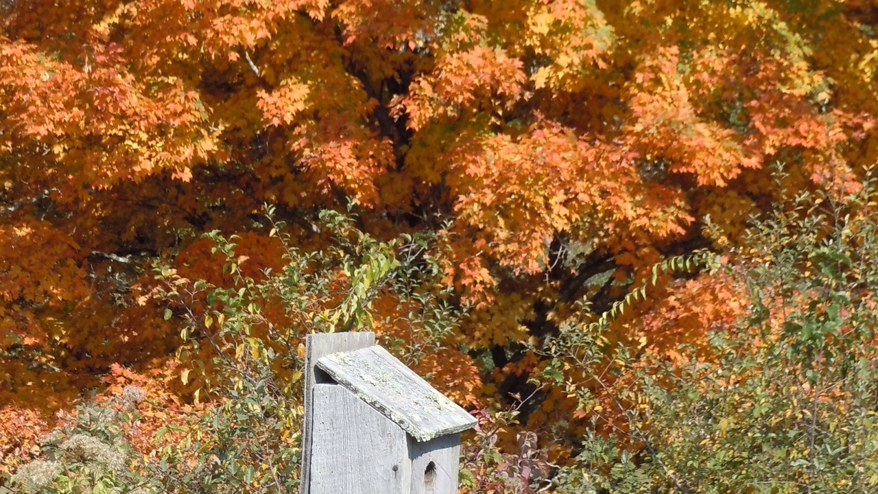 Photo of Outdoor in Warm Springs