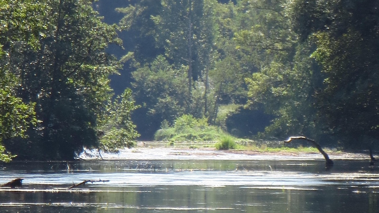 Photo of Outdoor in Lurais
