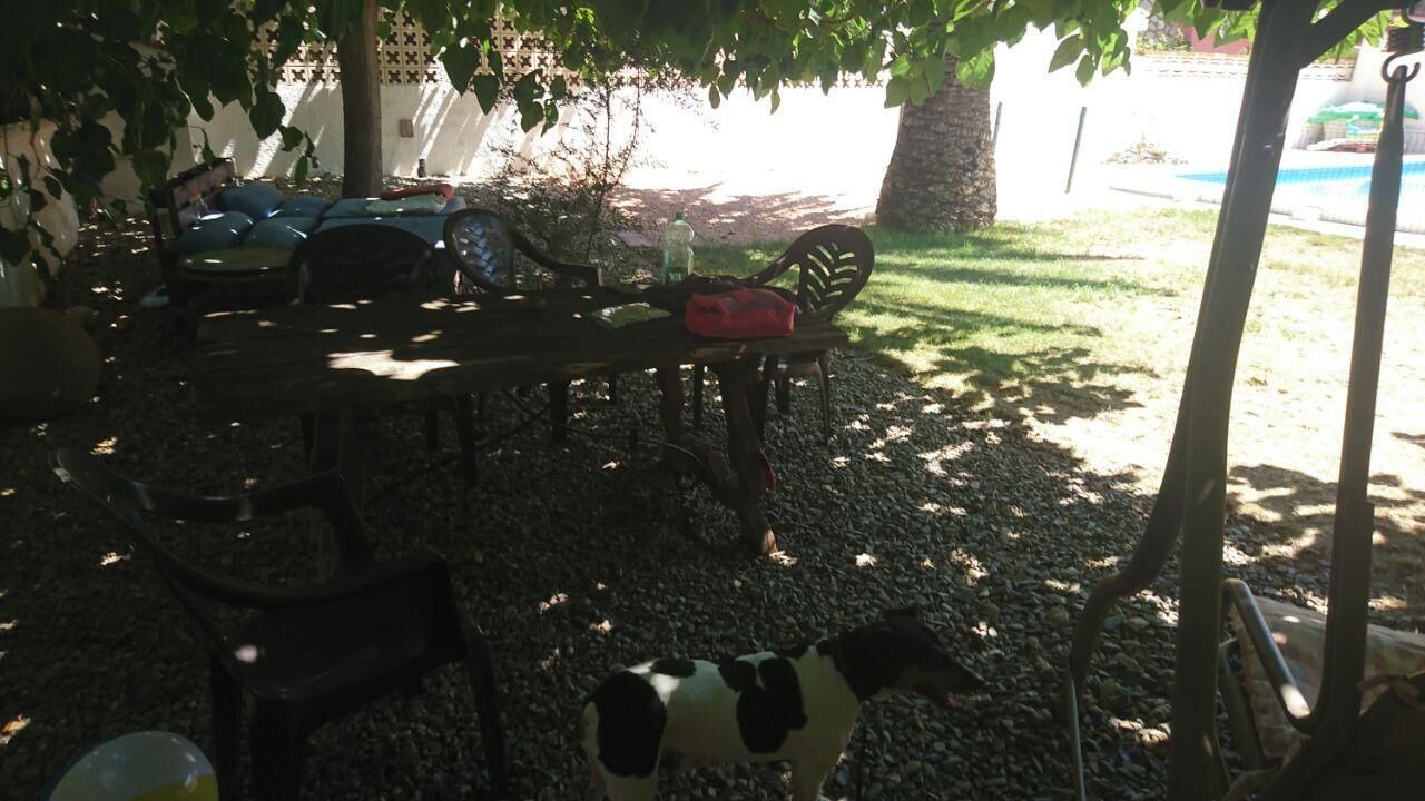 Photo of Outdoor in Miami Platja