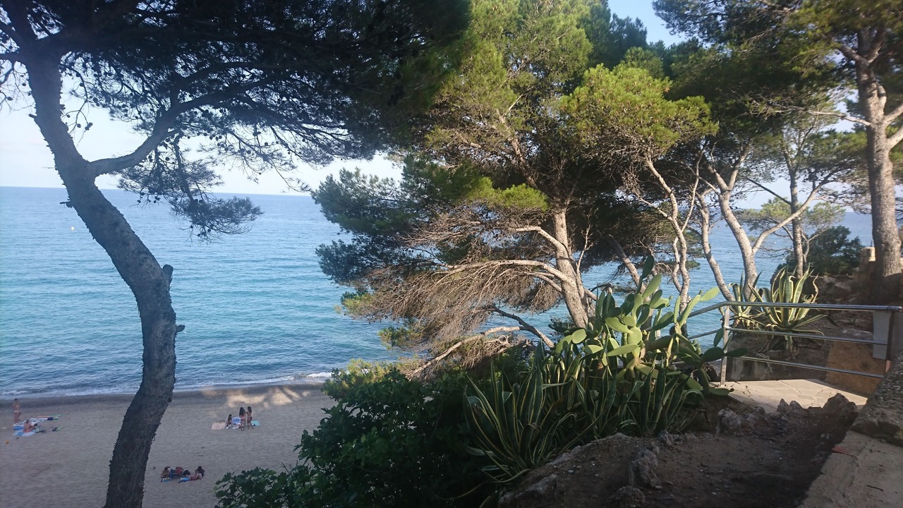 Photo of Others in Miami Platja