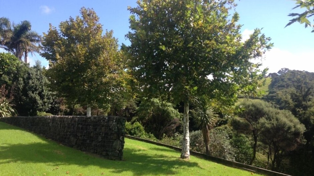 Photo of Others in Matapouri