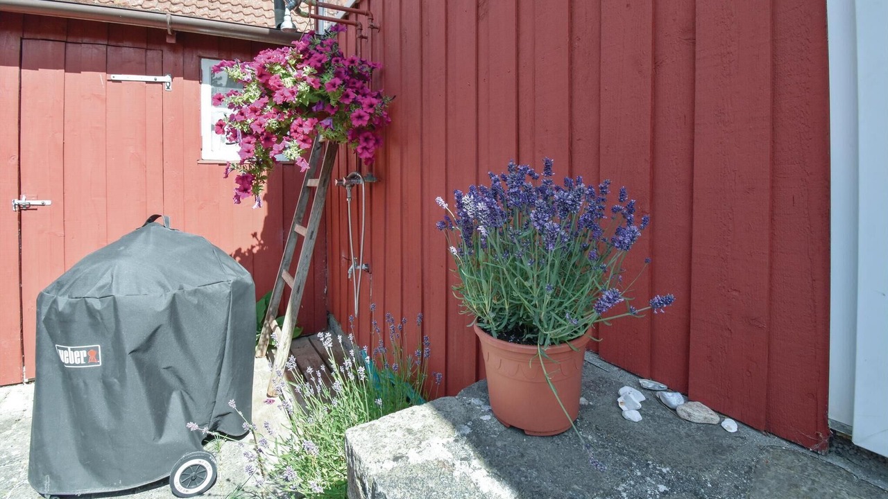 Photo of Others in Hasmark Strand