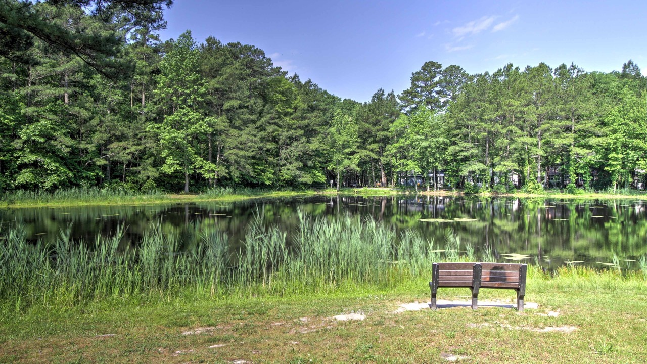 Photo of Outdoor in Ocean Pines