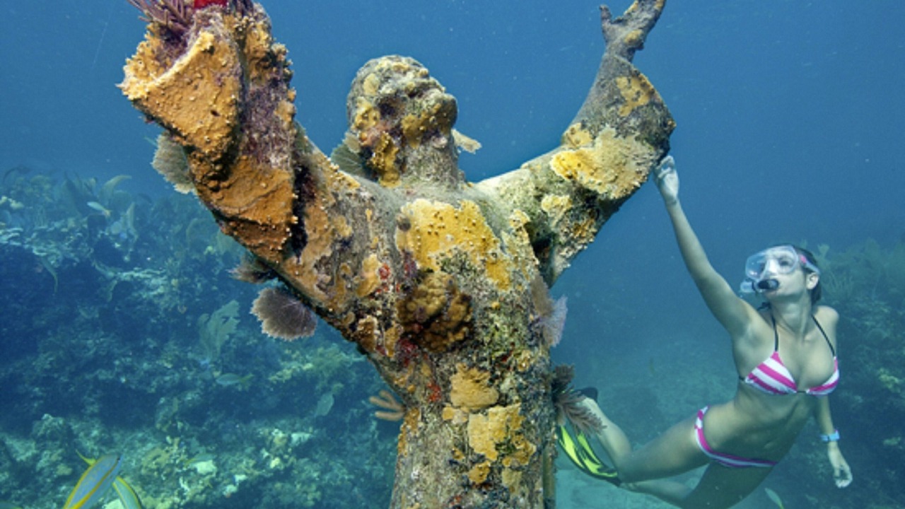Photo of Others in Hammer Point