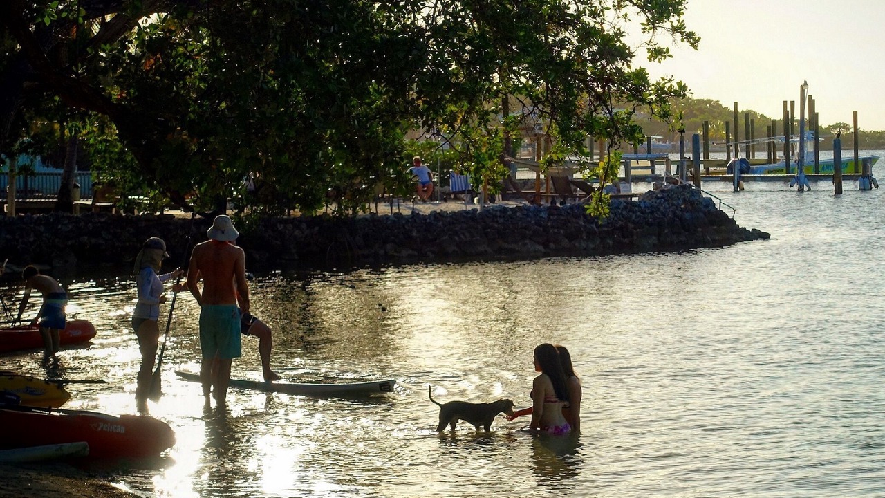 Photo of Others in Hammer Point