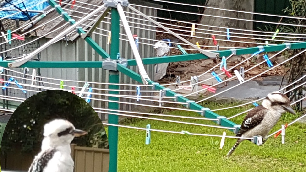 Photo of Others in Bexley