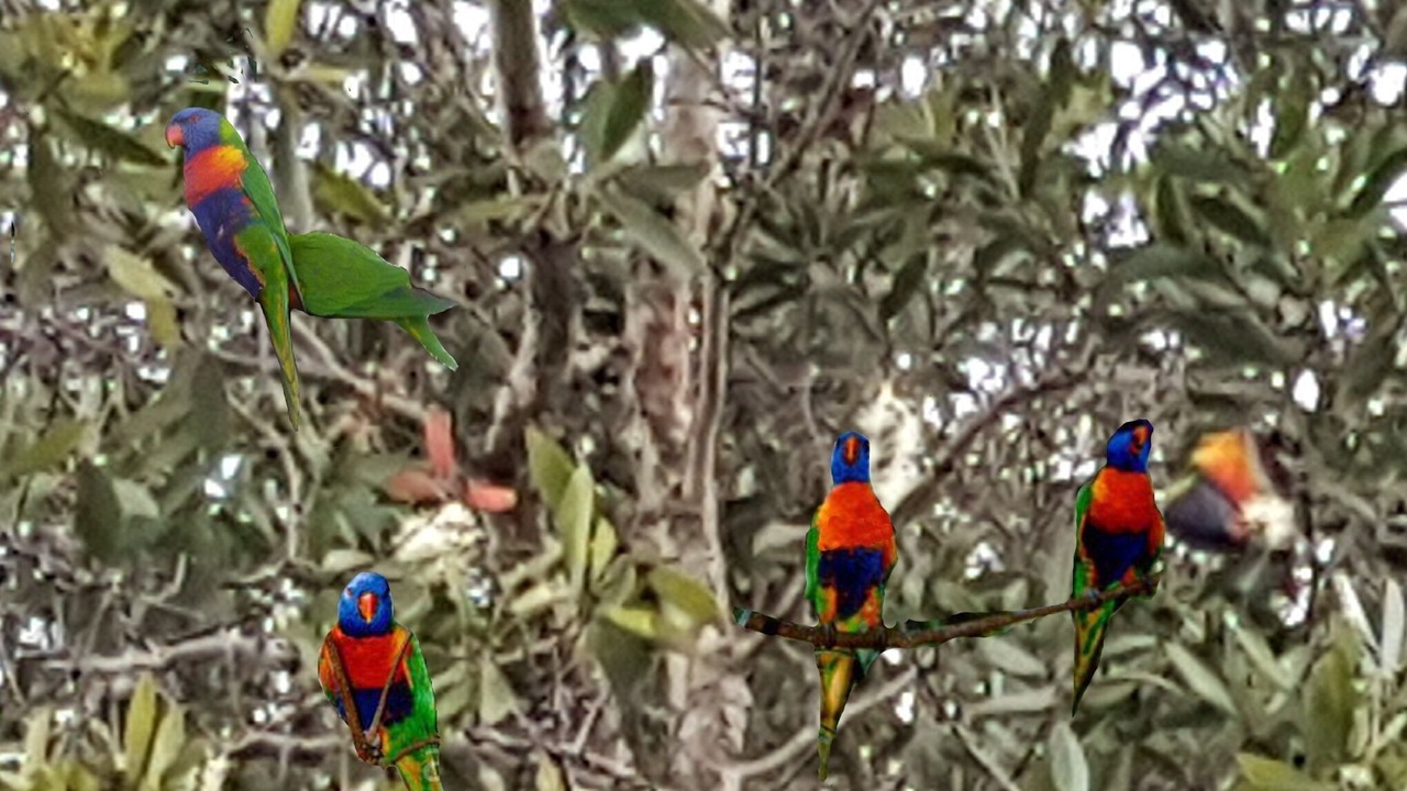 Photo of Others in Bexley