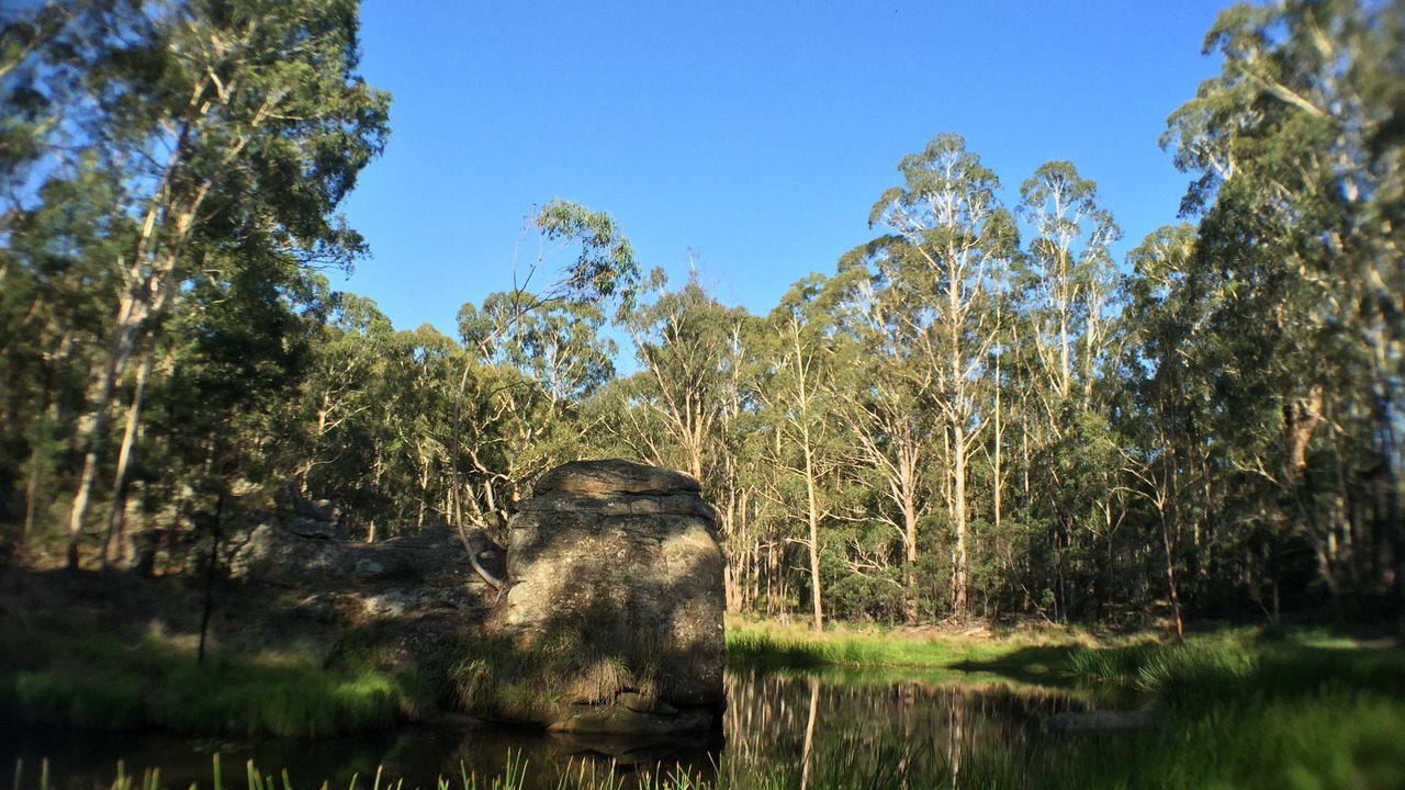 Photo of Outdoor in Kelgoola