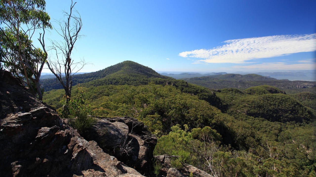 Photo of Others in Kelgoola