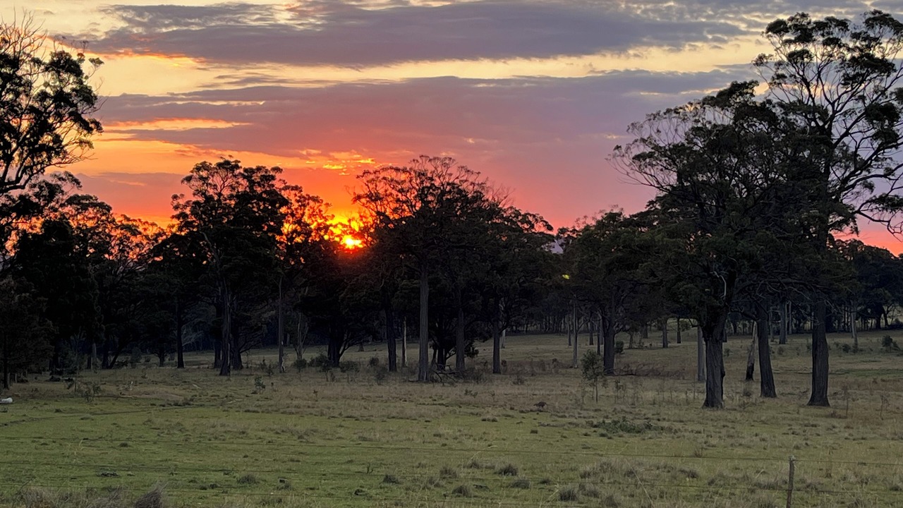 Photo of Others in Kelgoola