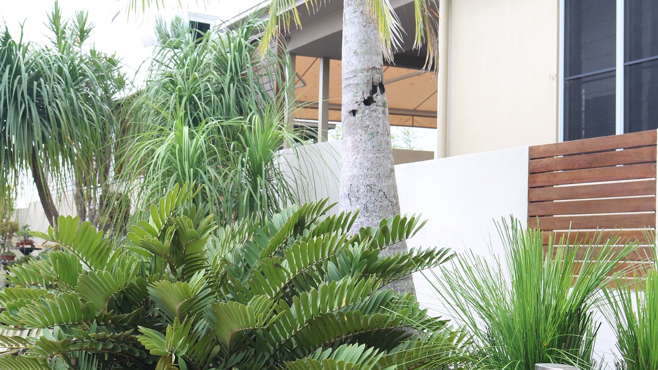 Photo of Outdoor in Buderim