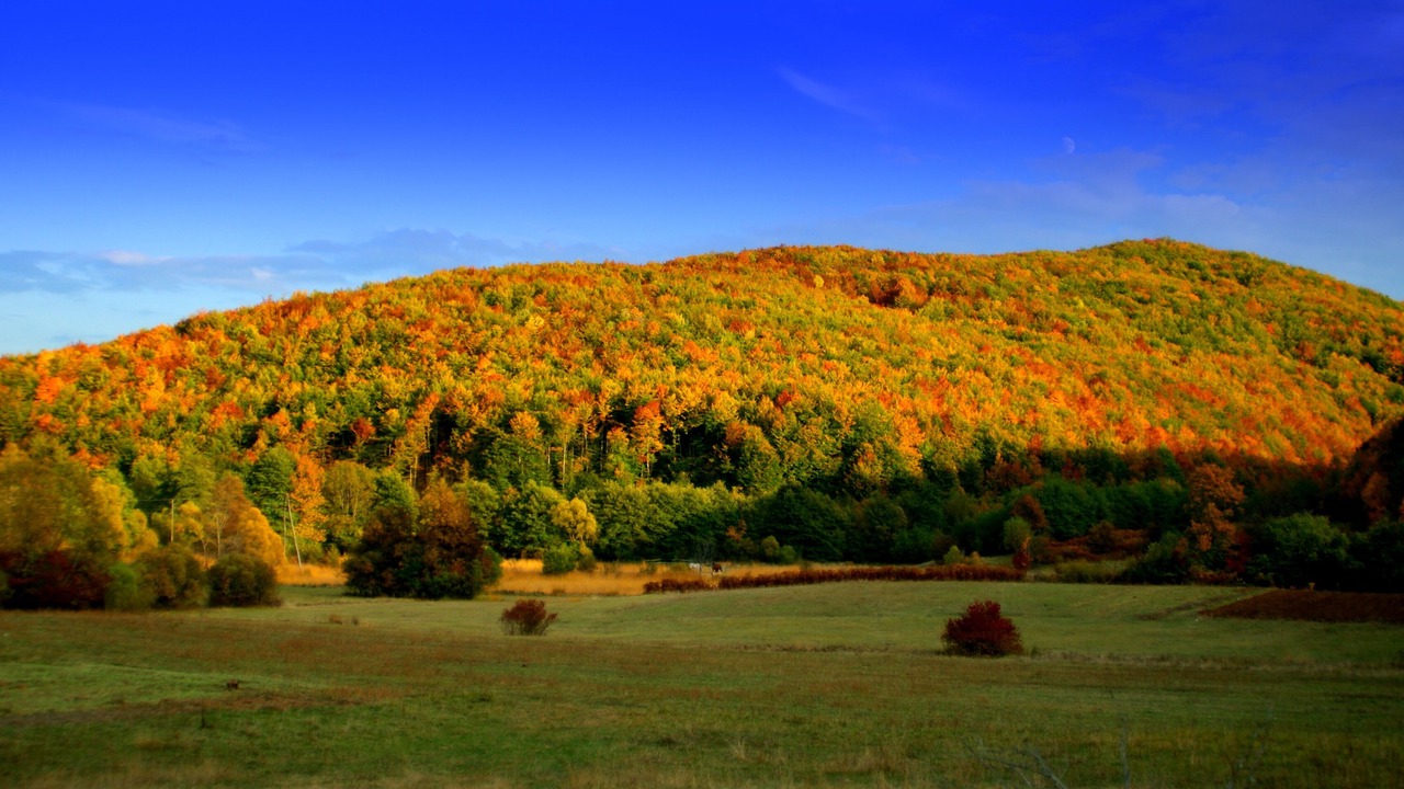 Photo of Outdoor in Velika Plana