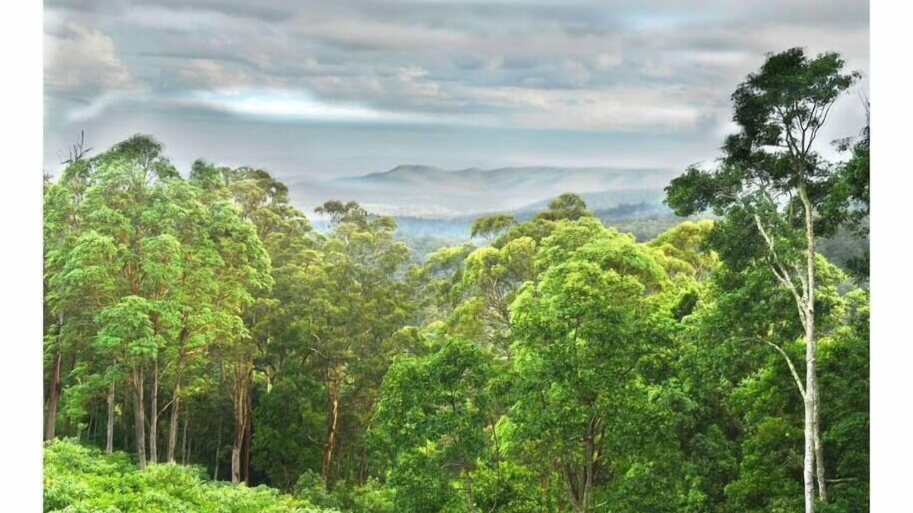 Photo of Others in Ravensbourne