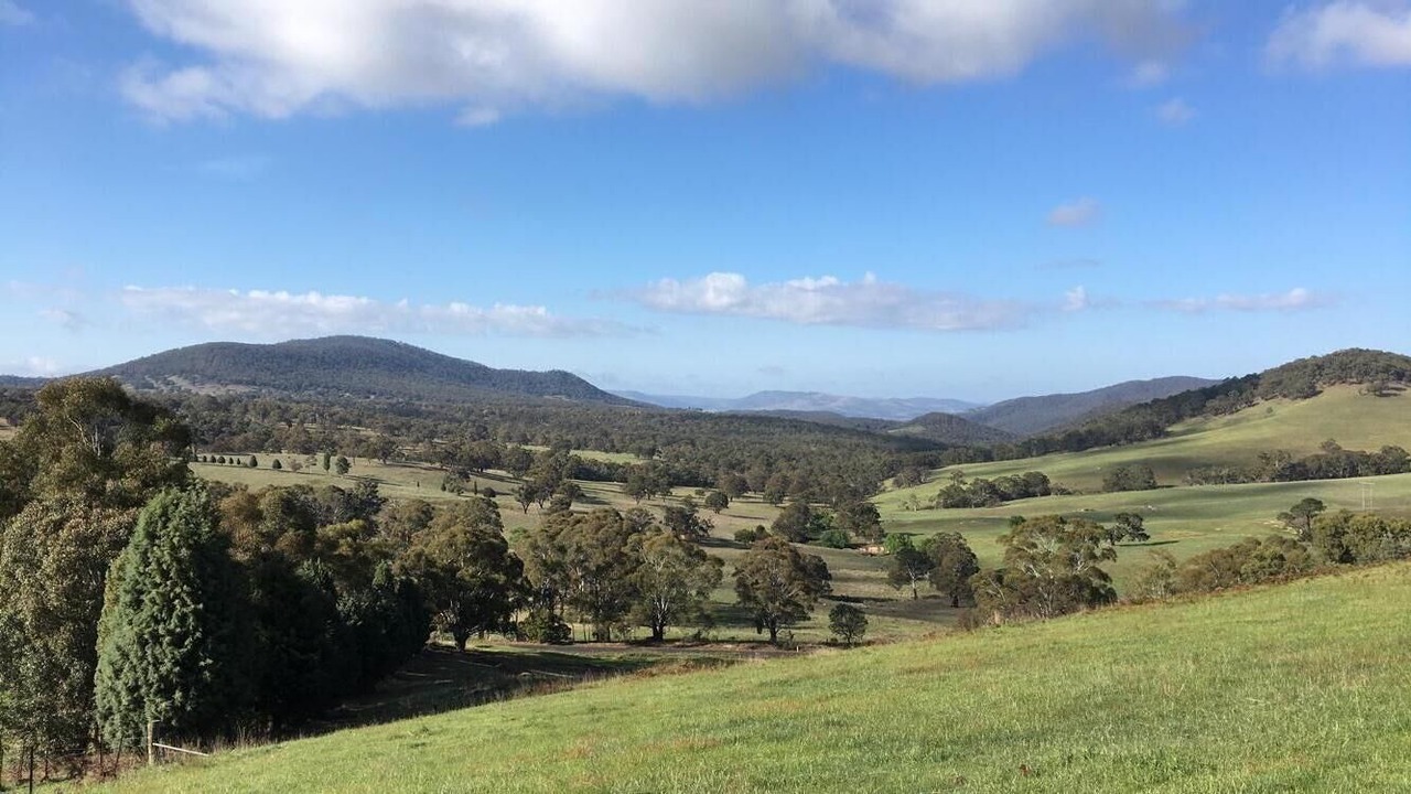 Photo of Outdoor in Meadow Flat