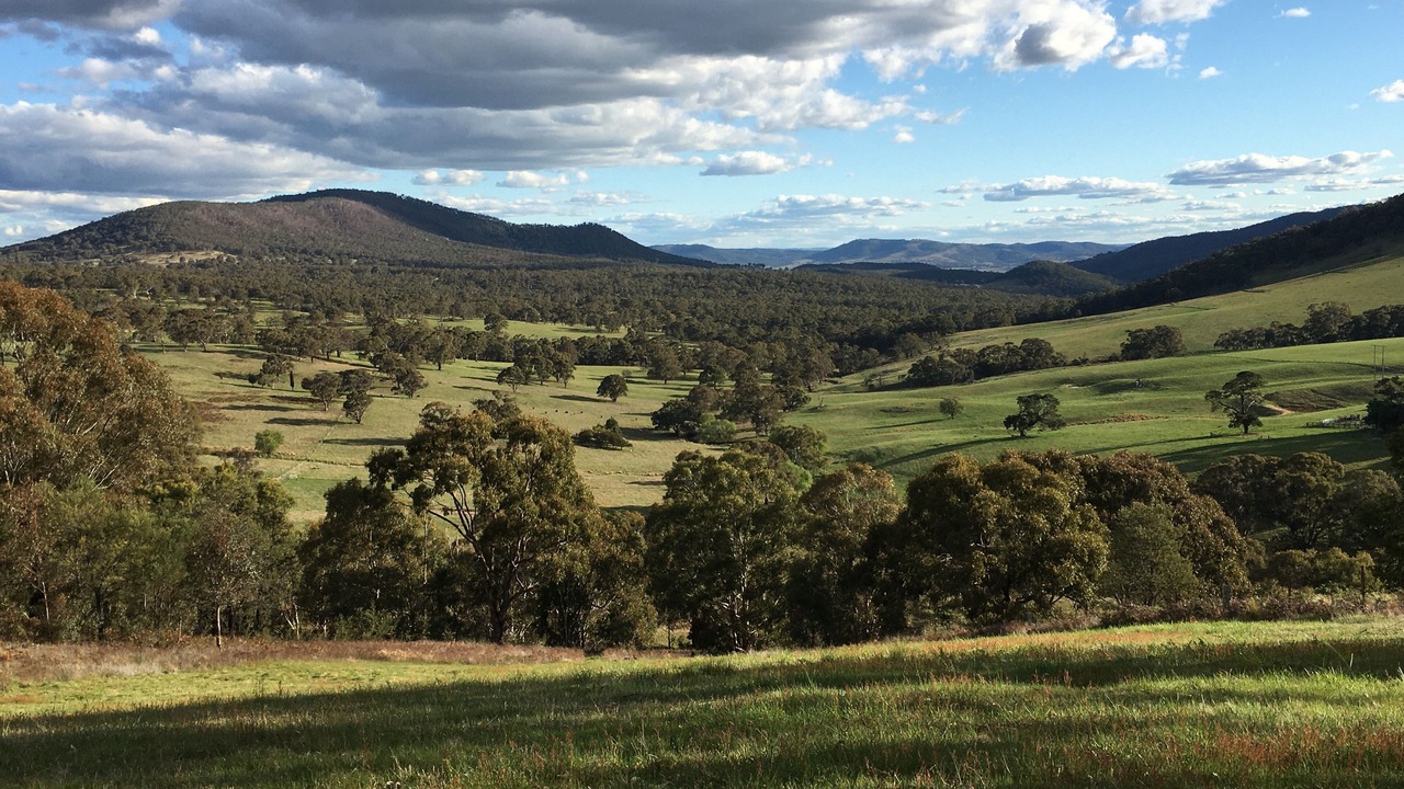 Photo of Outdoor in Meadow Flat