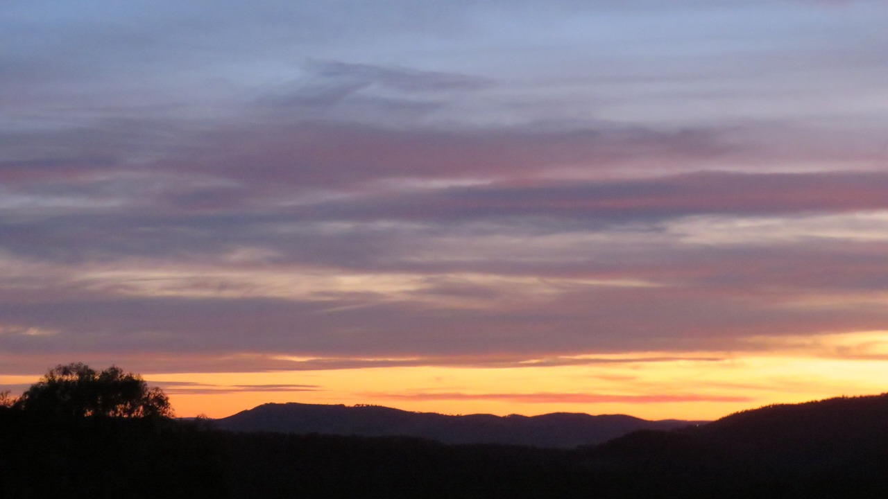 Photo of Others in Meadow Flat