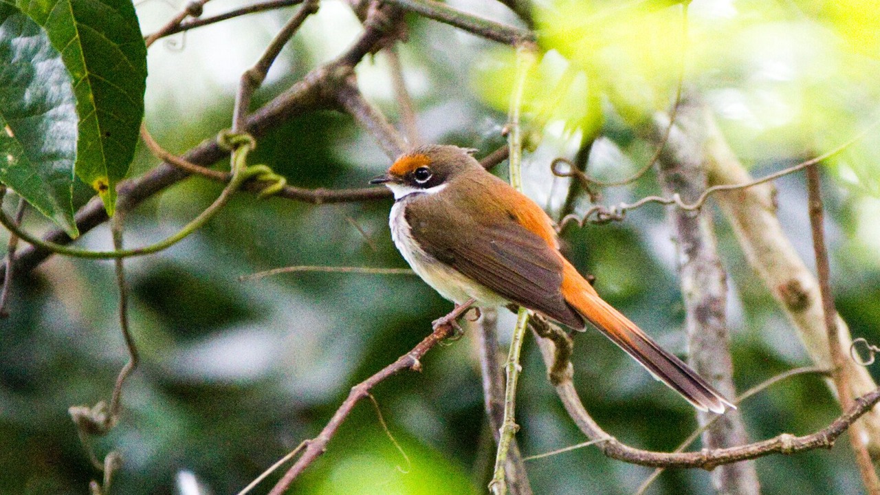 Photo of Outdoor in England Creek