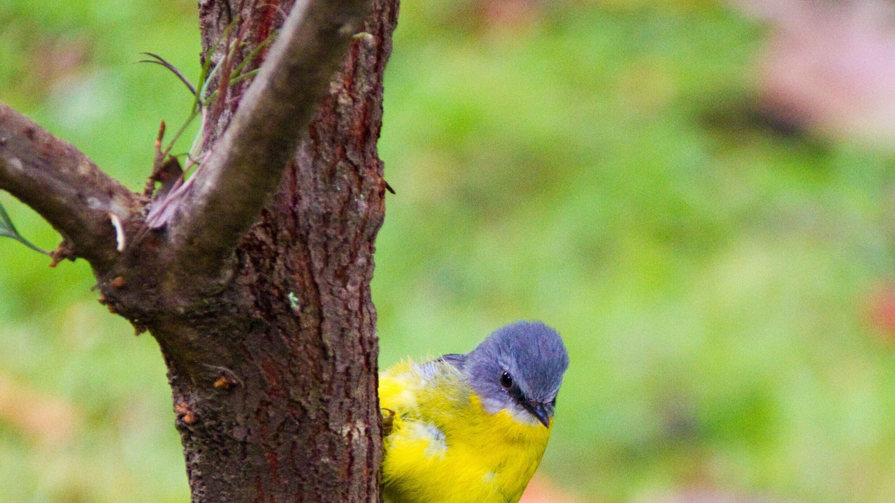 Photo of Outdoor in England Creek