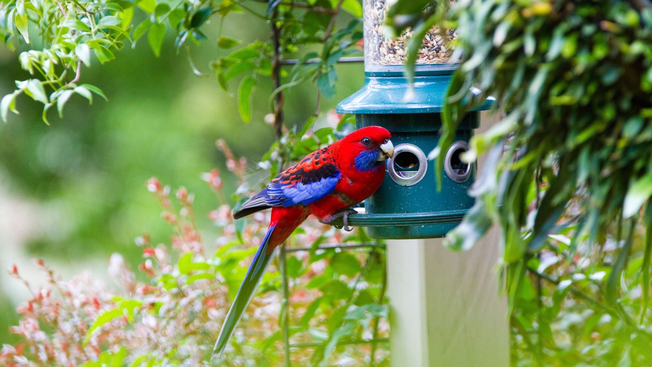 Photo of Outdoor in England Creek