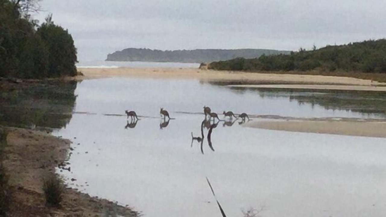 Photo of Others in Berrara