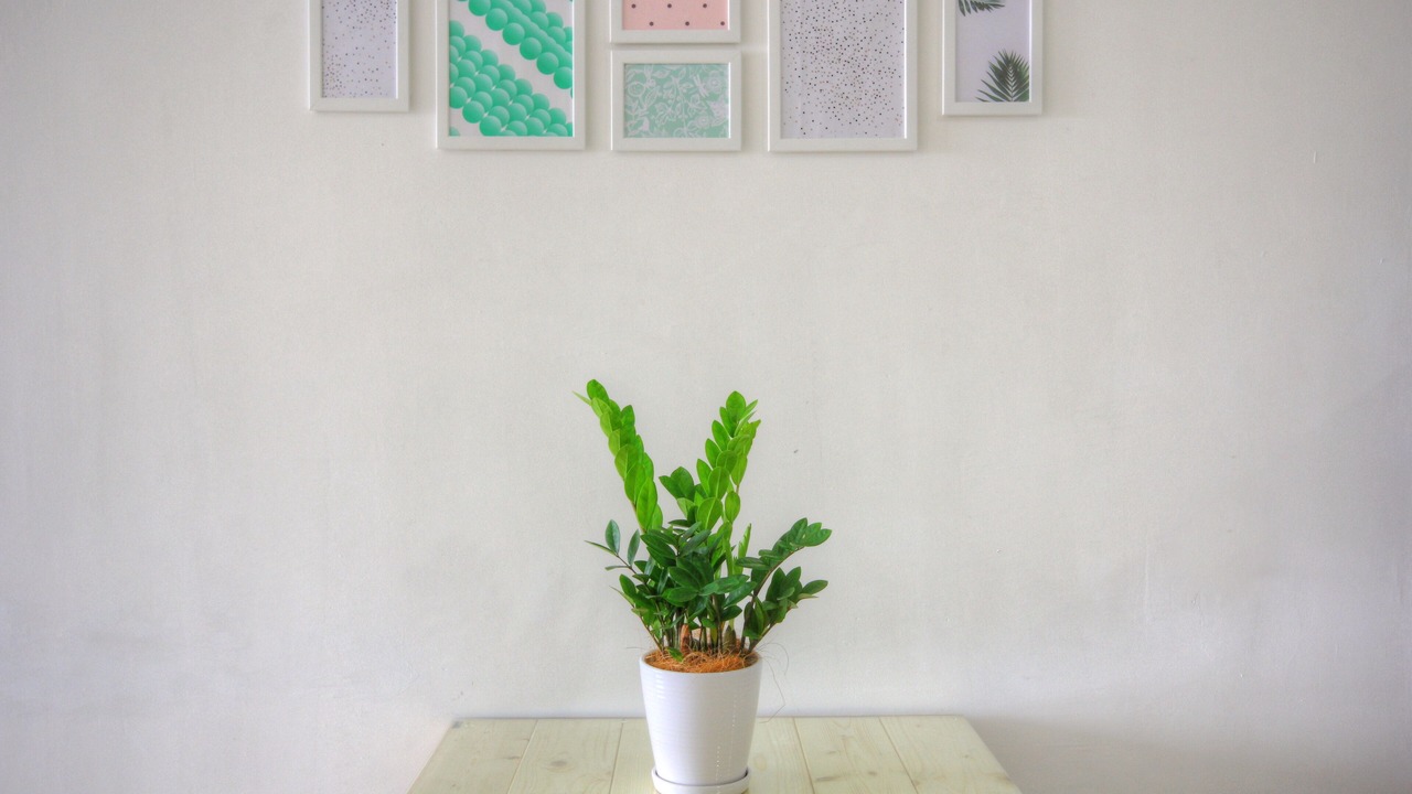 Photo of Others in Subang Jaya