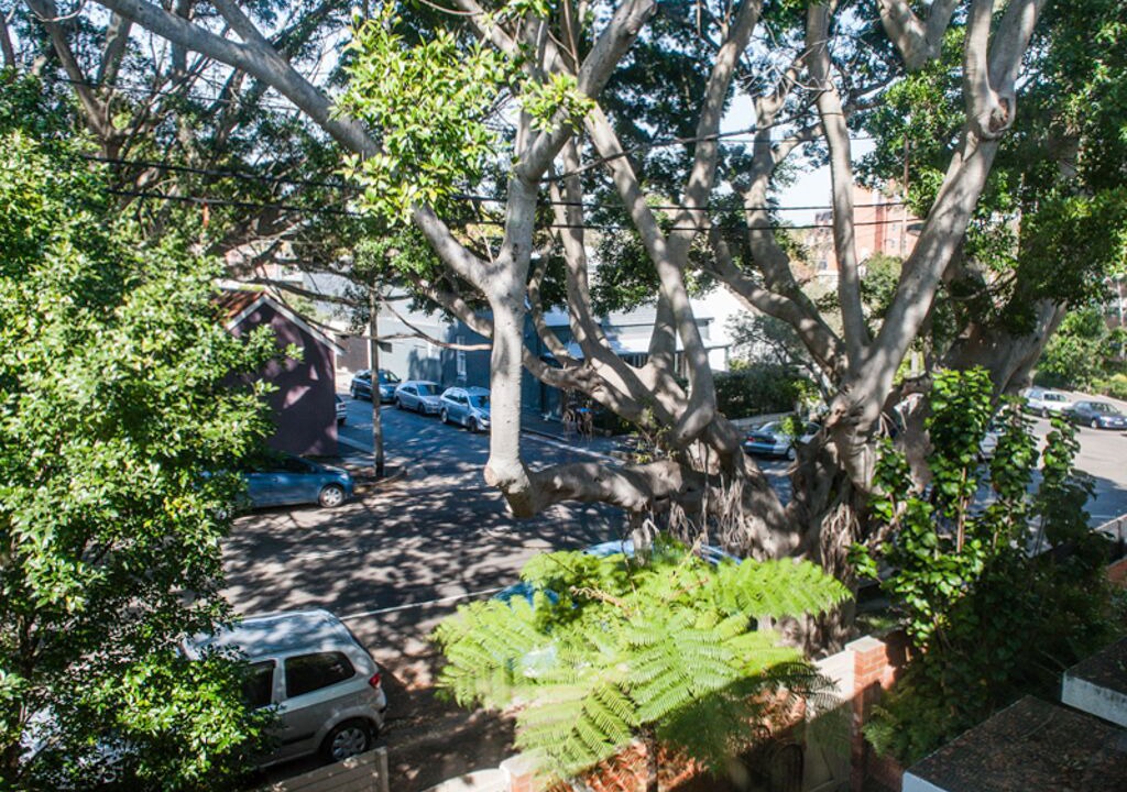 Photo of Outdoor in Woollahra
