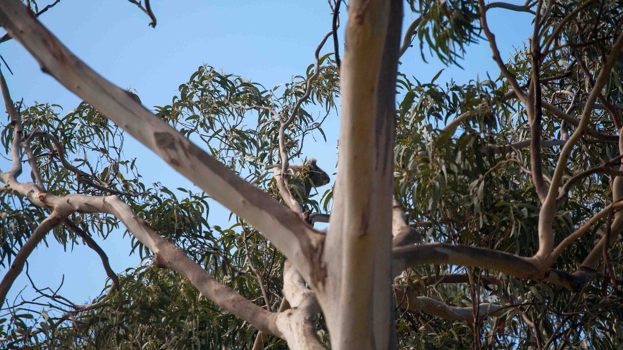 Photo of Outdoor in Kennett River