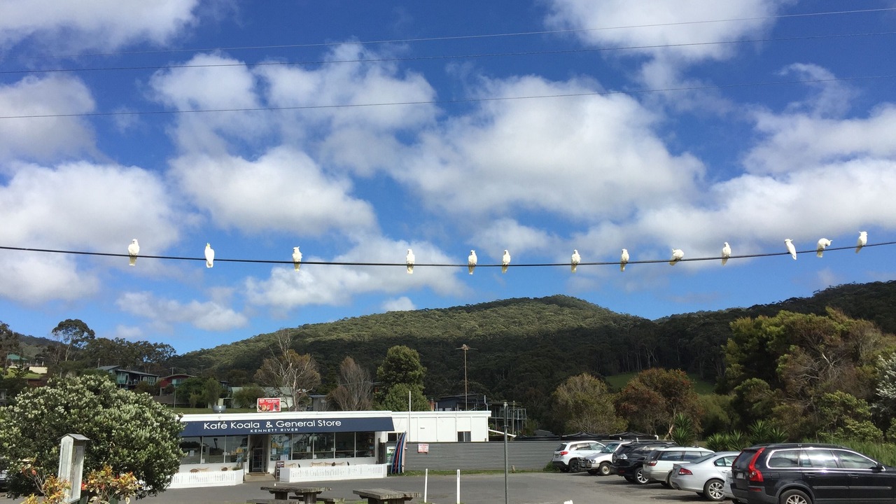 Photo of Others in Kennett River