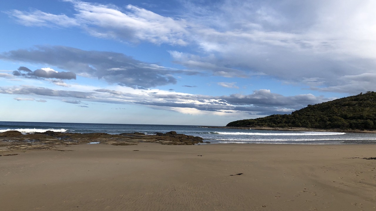 Photo of Others in Kennett River