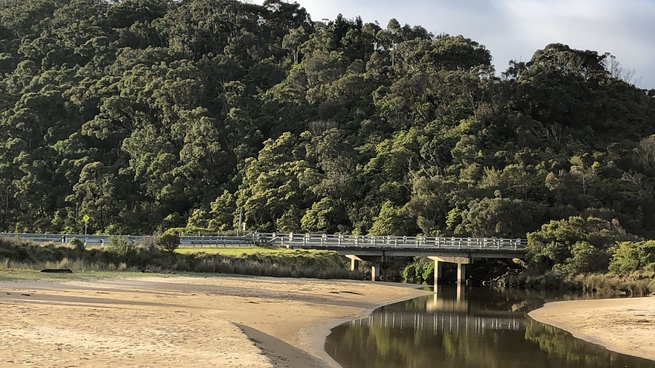 Photo of Others in Kennett River