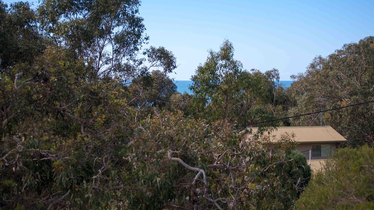 Photo of Outdoor in Kennett River