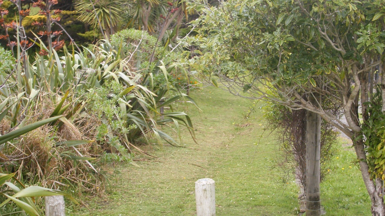 Photo of Others in Karkari Peninsula